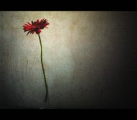 negative self-talk