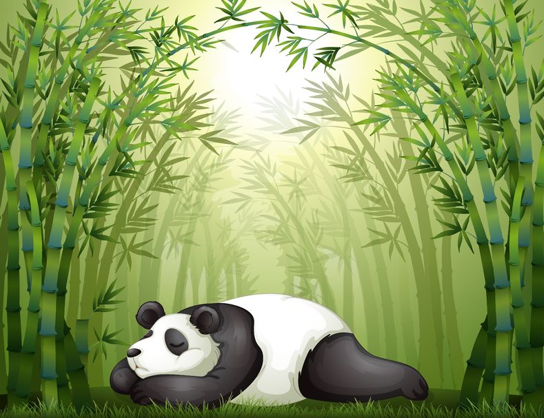 Lazy Panda