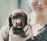 Can Pets Really Enhance Mental Health and Wellbeing?