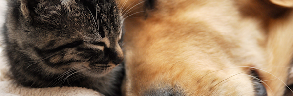 self improvement tips