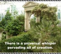 There is a universal whisper