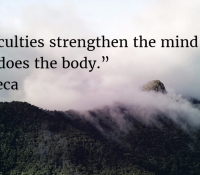 reduce stress