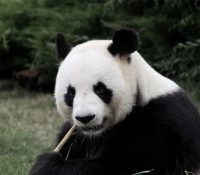 Learn To Enjoy Healthy Foods And Curb Cravings At Food Gym