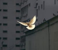 Peace and calm