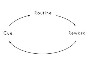The Power of Habit - Habit Loop