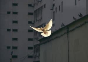 Peace and calm